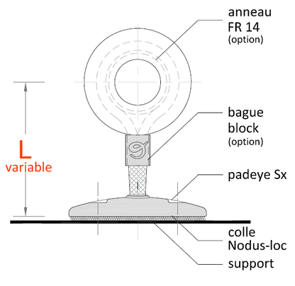 Nodus-Padeye SX® - NODUS FACTORY | nodus-padeye-sx-nodus-factory | Nodus Factory